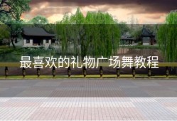 最喜欢的礼物广场舞教程