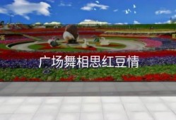 广场舞相思红豆情