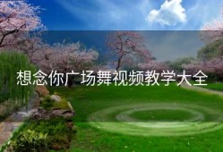 想念你广场舞视频教学大全