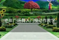 老年广场舞入门慢动作教学