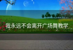 我永远不会离开广场舞教学