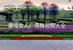 聋哑女人广场舞视频大全