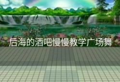 后海的酒吧慢慢教学广场舞