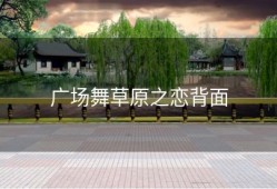 广场舞草原之恋背面