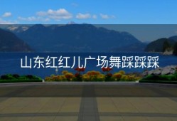 山东红红儿广场舞踩踩踩
