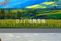 D丿广场舞雪梅