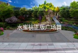 水蜜桃正版广场舞