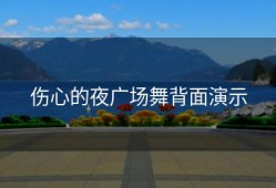 伤心的夜广场舞背面演示