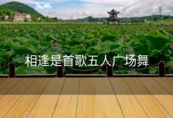 相逢是首歌五人广场舞