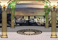小雨点广场舞减肥
