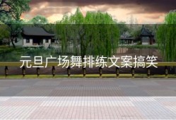元旦广场舞排练文案搞笑