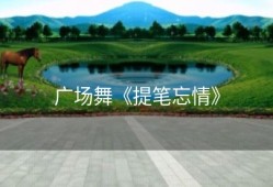 广场舞《提笔忘情》