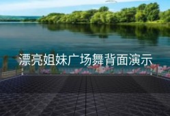 漂亮姐妹广场舞背面演示