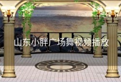 山东小胖广场舞视频播放