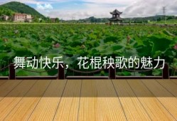 舞动快乐，花棍秧歌的魅力