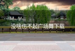 没啥伤不起广场舞下载