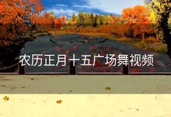 农历正月十五广场舞视频