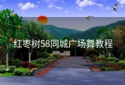 红枣树58同城广场舞教程