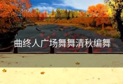 曲终人广场舞舞清秋编舞