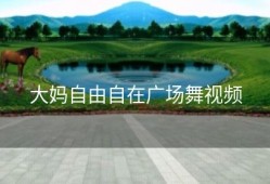 大妈自由自在广场舞视频