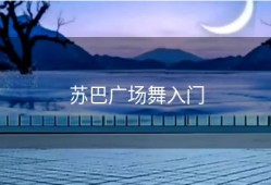 苏巴广场舞入门