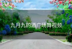 九月九的酒广场舞视频