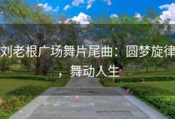 刘老根广场舞片尾曲：圆梦旋律，舞动人生
