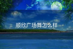 顺欣广场舞怎么样