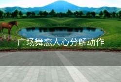 广场舞恋人心分解动作