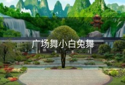 广场舞小白兔舞