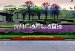 贺州广场舞现场直播