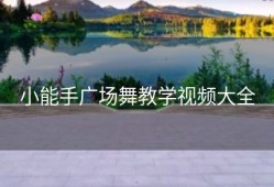 小能手广场舞教学视频大全