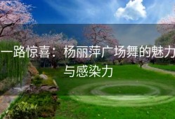 一路惊喜：杨丽萍广场舞的魅力与感染力