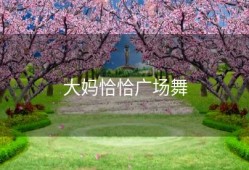 大妈恰恰广场舞