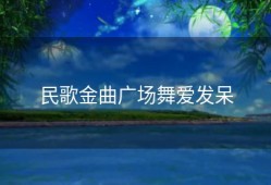 民歌金曲广场舞爱发呆