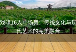 戏魂16人广场舞：传统文化与现代艺术的完美融合