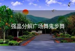 强晶分解广场舞鬼步舞