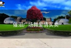 催泪广场舞爱情买卖