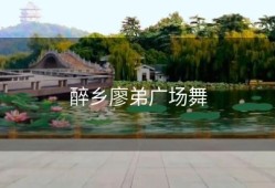 醉乡廖弟广场舞