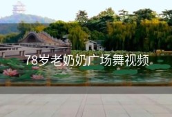 78岁老奶奶广场舞视频