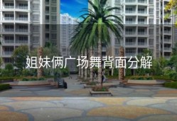 姐妹俩广场舞背面分解