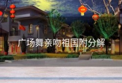 广场舞亲吻祖国附分解