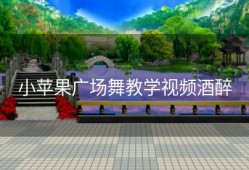 小苹果广场舞教学视频酒醉