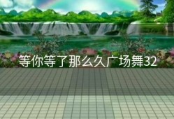 等你等了那么久广场舞32