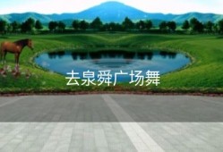 去泉舜广场舞