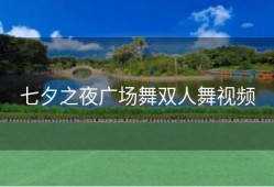 七夕之夜广场舞双人舞视频