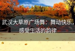 武汉大草原广场舞：舞动快乐，感受生活的韵律