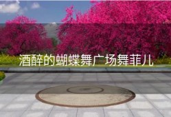 酒醉的蝴蝶舞广场舞菲儿