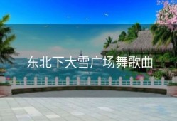 东北下大雪广场舞歌曲