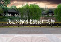 我老公挣钱老婆花广场舞